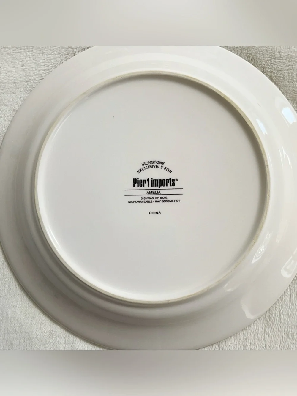 Pier 1 Amelia Set of 2 Salad Plates 8.75” Ironstone Floral Garden Dinnerware